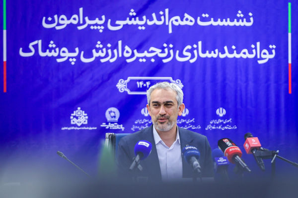 مدنی زاده: طرح ملی اعتبار ایرانیان اجرایی می شود