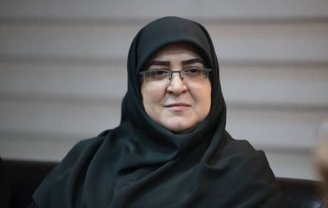 مهاجرانی: هنوز به سمت استفاده از ذخایر راهبردی کالاها نرفته‌ایم