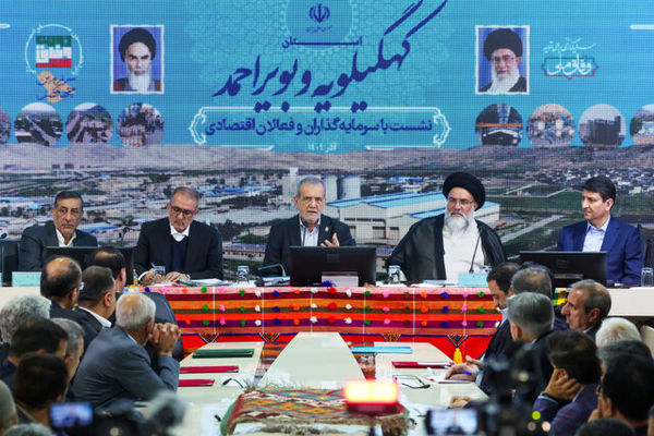 We must beg for an investor to come / We will not make any decision without expert support