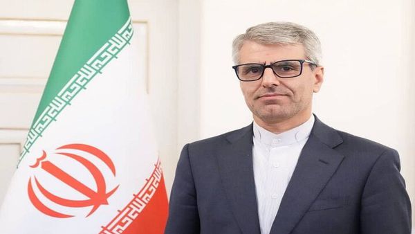 بقائی: آمریکا باید به خاطر ارتکاب جنایت علیه بشریت مواخذه شود
