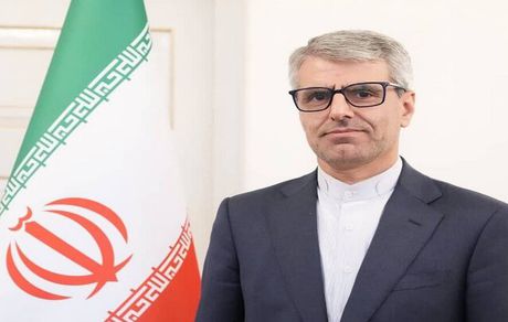 بقائی: آمریکا باید به خاطر ارتکاب جنایت علیه بشریت مواخذه شود
