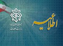 انهدام ۴ هسته تروریستی در جنوب شرق کشور؛ ۱۹ نفر دستگیر شدند
