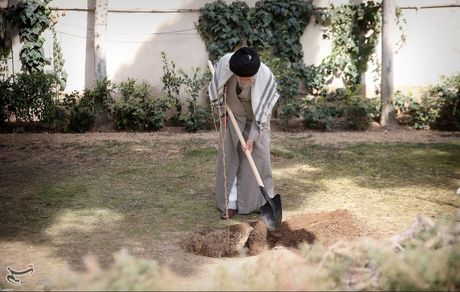 دعوت برای حضور در پویش کاشت نهال «به نام ایران، به یاد امام»